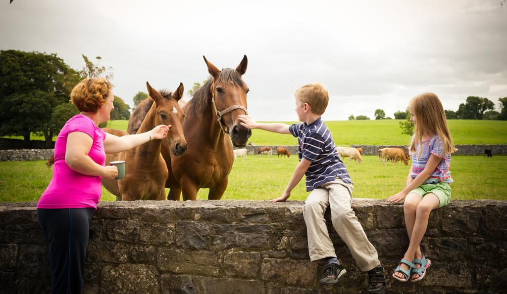 Cahergal Farmhouse B&B Newmarket-on-Fergus Rom bilde