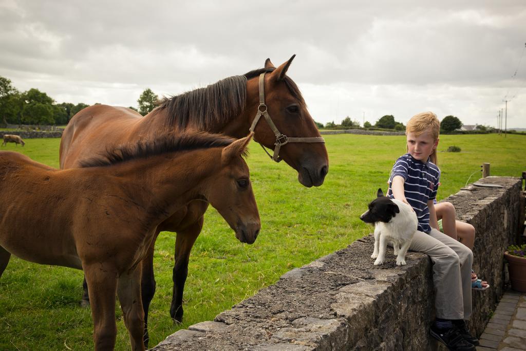 Cahergal Farmhouse B&B Newmarket-on-Fergus Eksteriør bilde