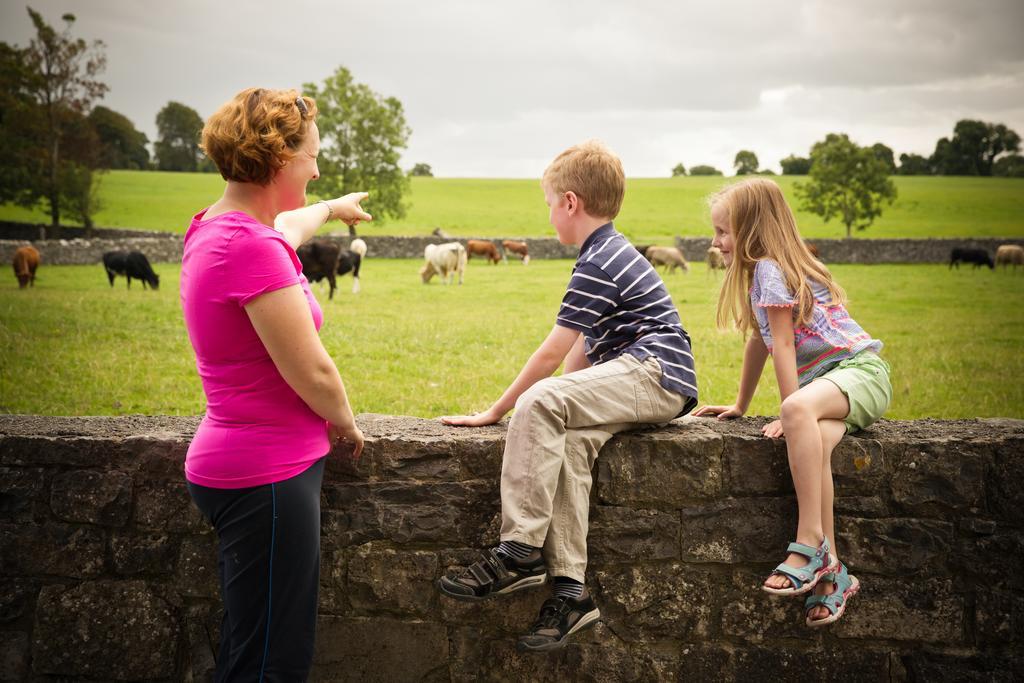 Cahergal Farmhouse B&B Newmarket-on-Fergus Eksteriør bilde