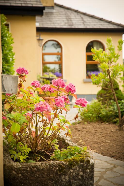 Cahergal Farmhouse B&B Newmarket-on-Fergus Eksteriør bilde