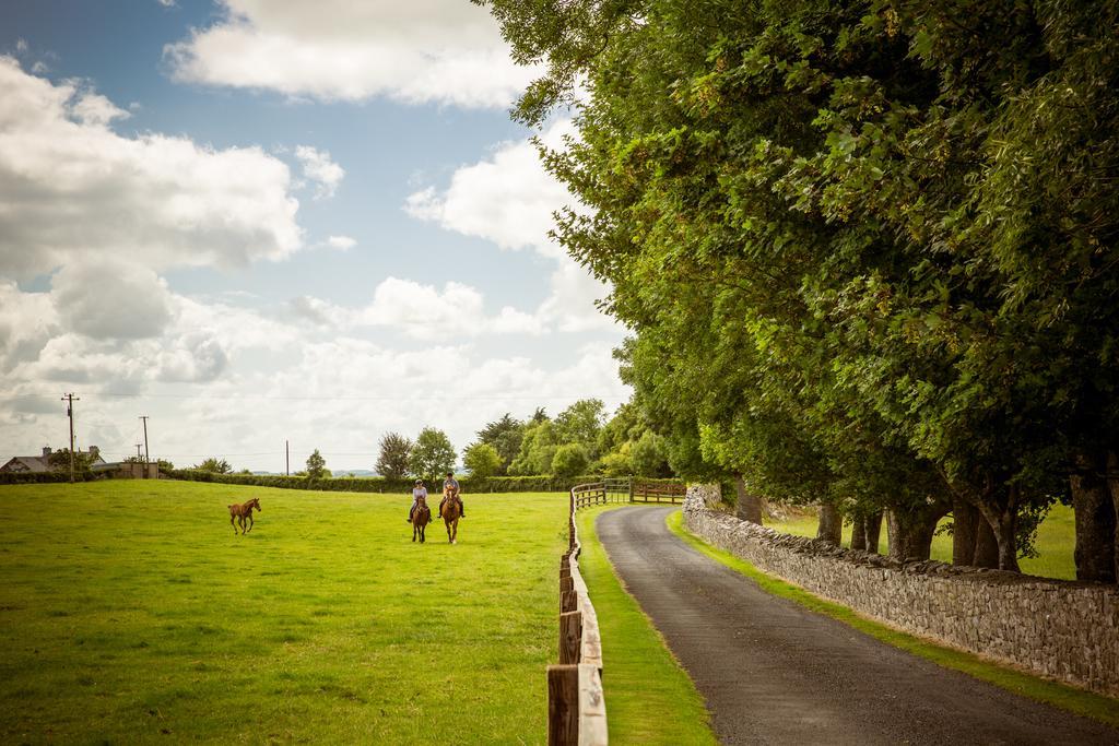 Cahergal Farmhouse B&B Newmarket-on-Fergus Eksteriør bilde