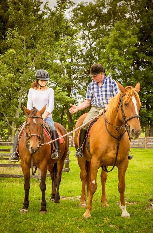 Cahergal Farmhouse B&B Newmarket-on-Fergus Eksteriør bilde