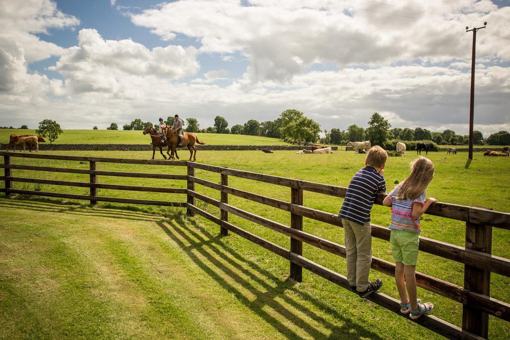 Cahergal Farmhouse B&B Newmarket-on-Fergus Eksteriør bilde