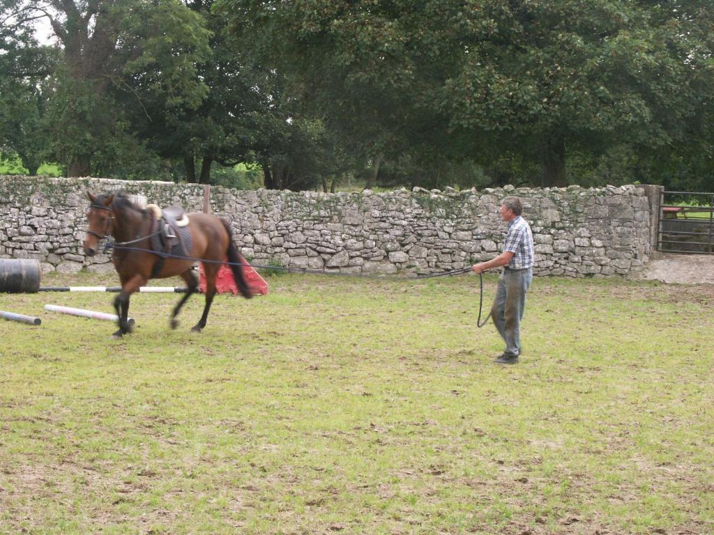 Cahergal Farmhouse B&B Newmarket-on-Fergus Eksteriør bilde